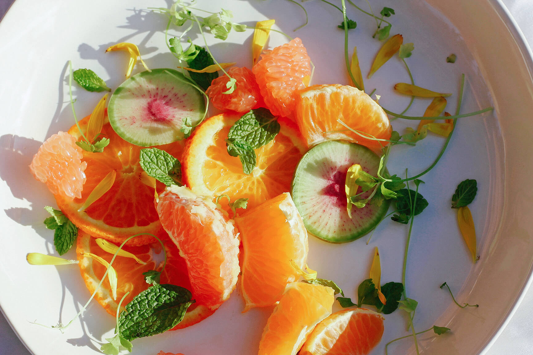 Winter Recipes for the Non-Practicing Cook