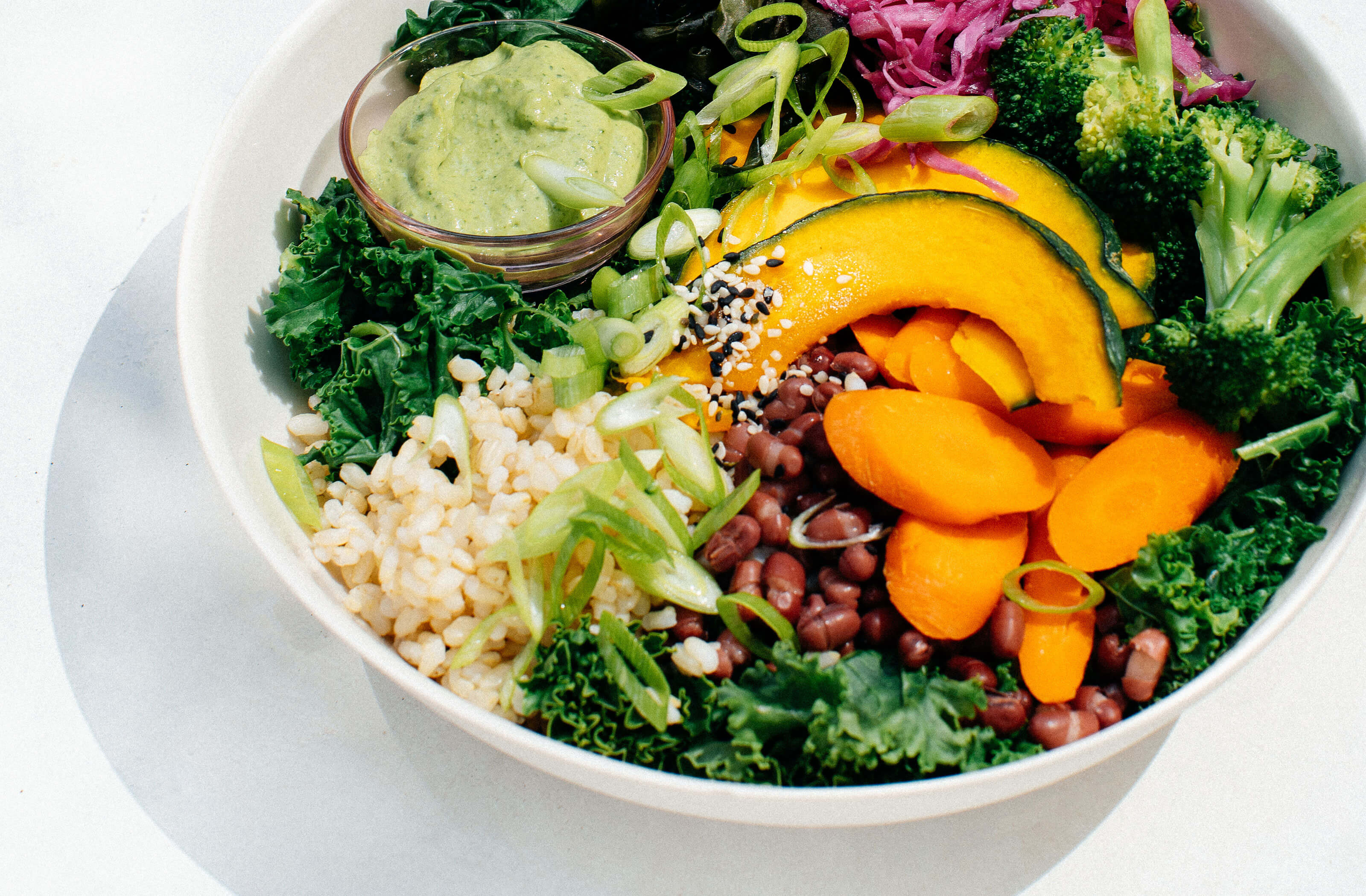 Demystifying Anti-Nutrients