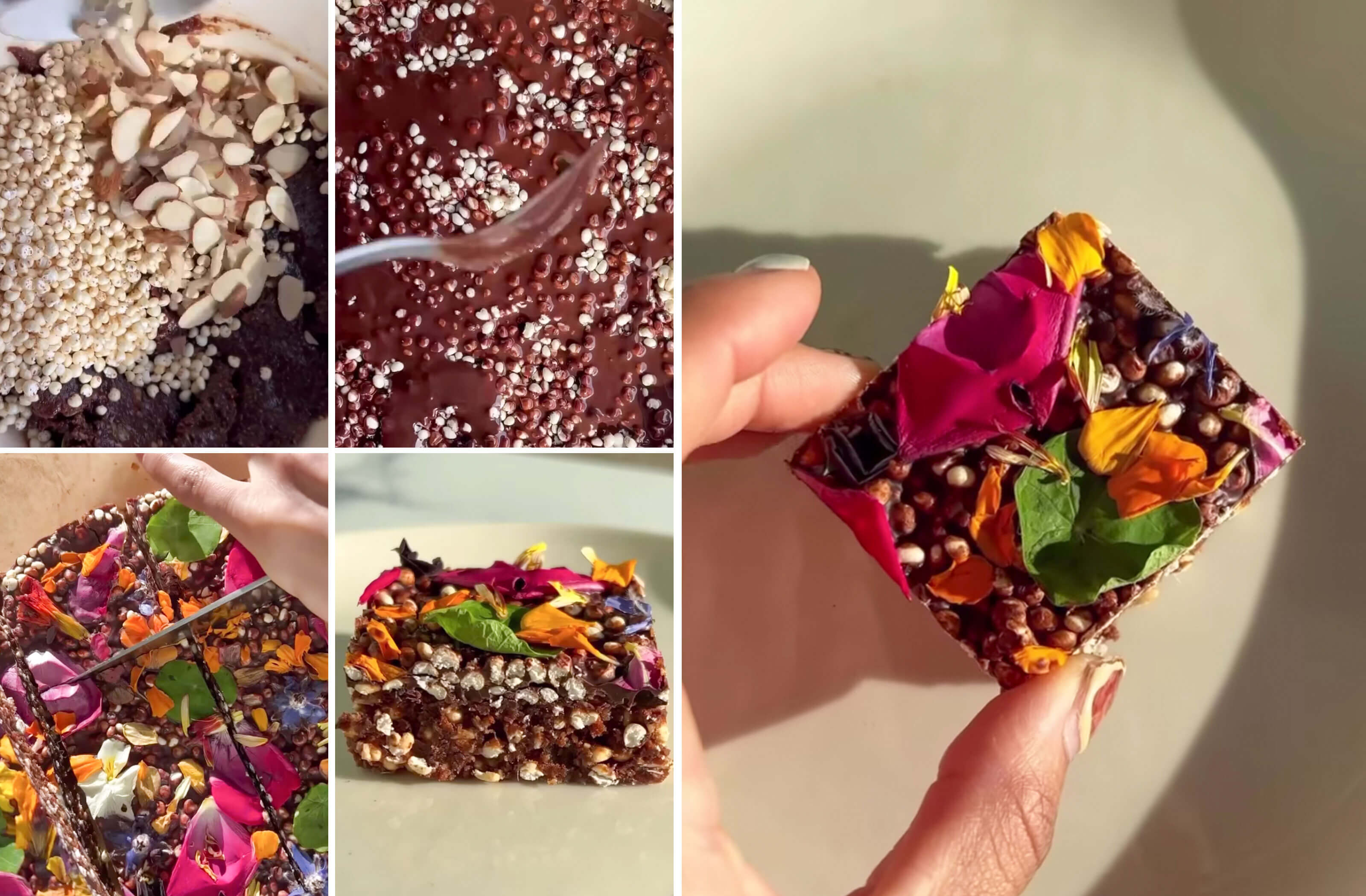 Chocolate Blossom Bars