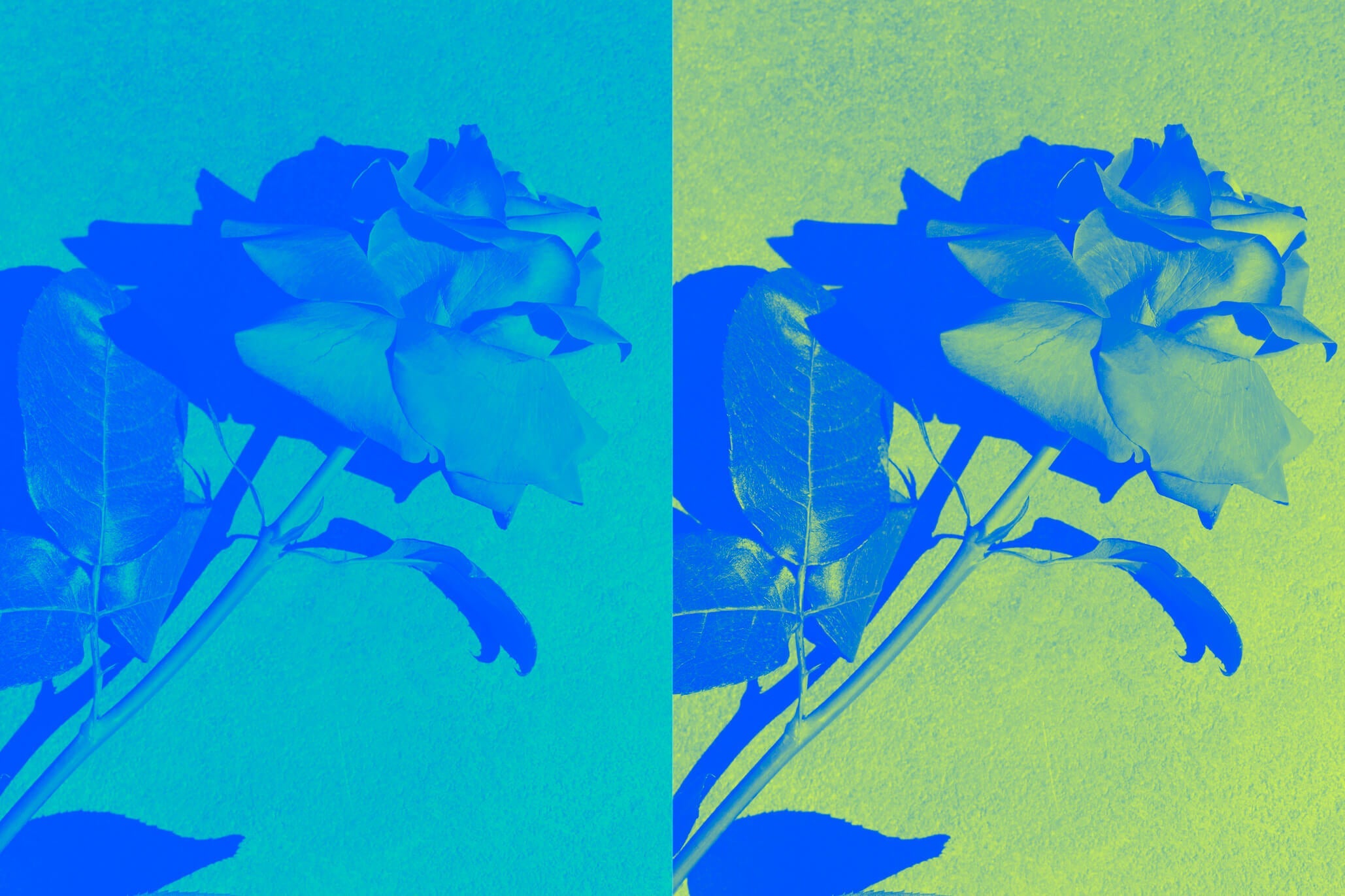 Psychological Astrology 101