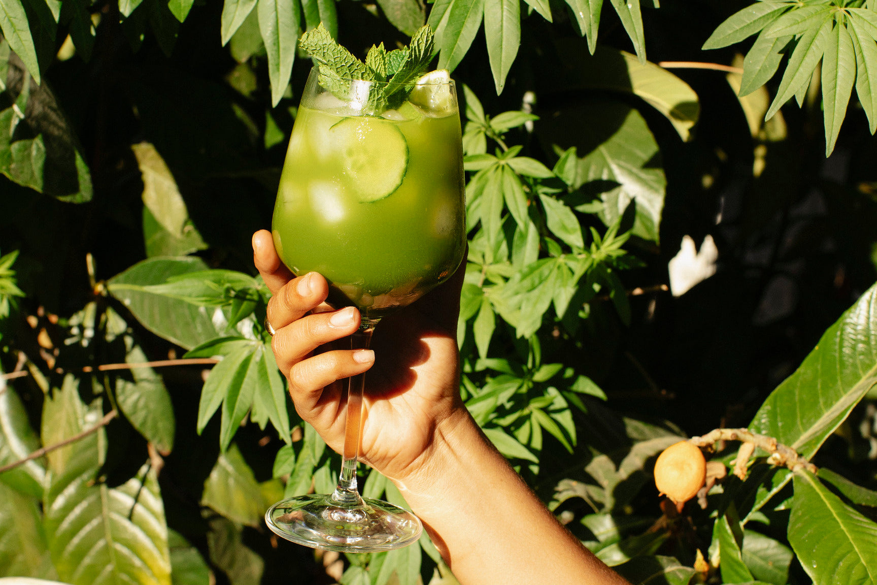 The Green Juice Cocktail
