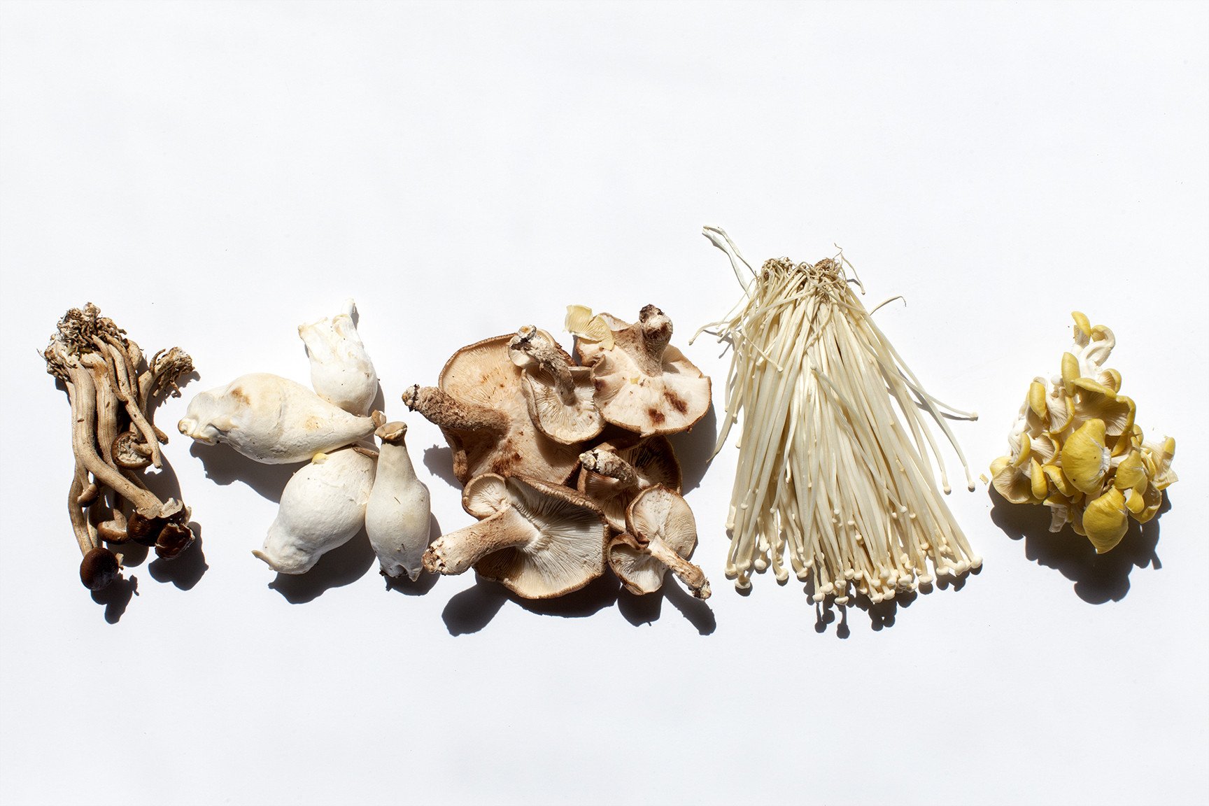 Truth Calkins Has the Secret to Becoming "A Multi-Dimensional Angelic Being"