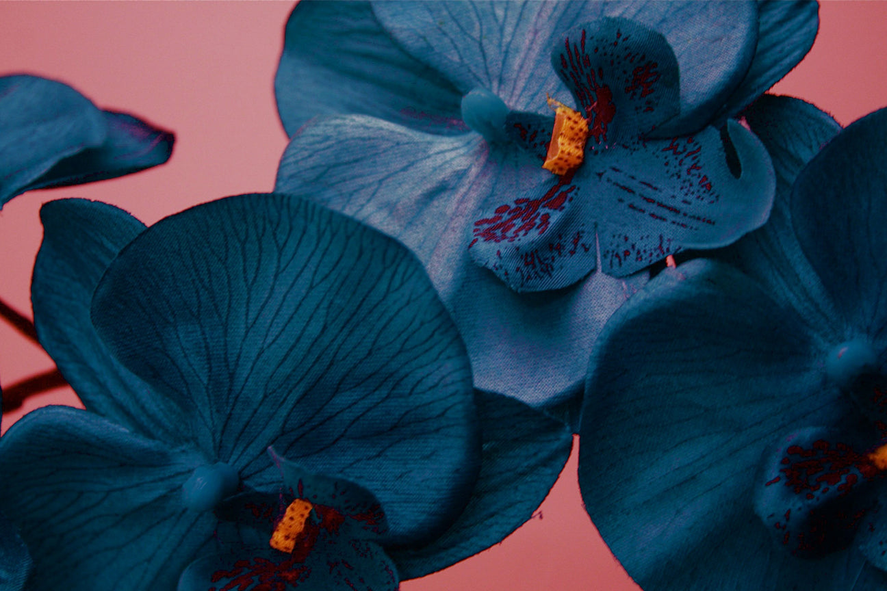 The Many Benefits of the Big O