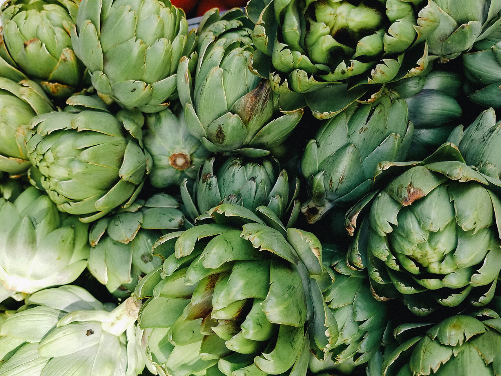 WHAT PLANT-BASED MEANS TO US