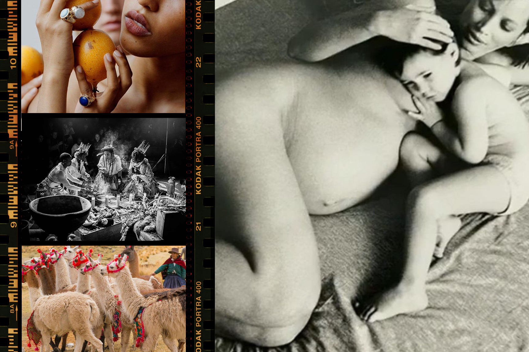 Gift Guide 2021: Share Light