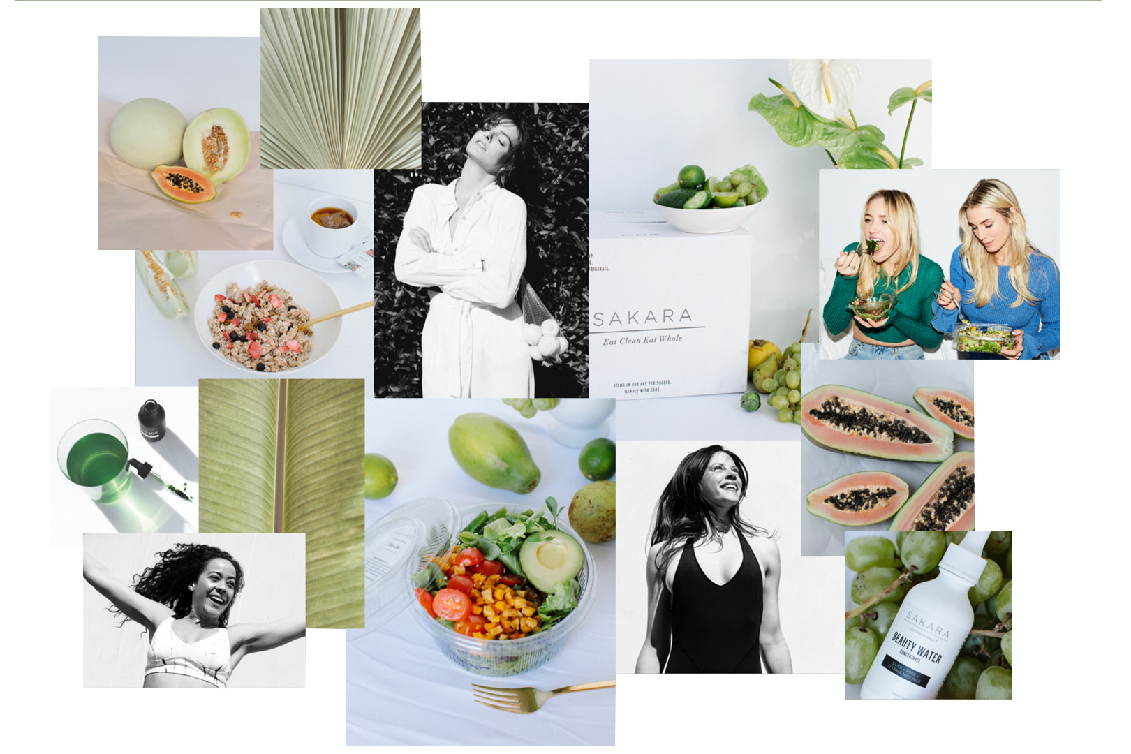 Love + Light: Make Happiness Your North Star