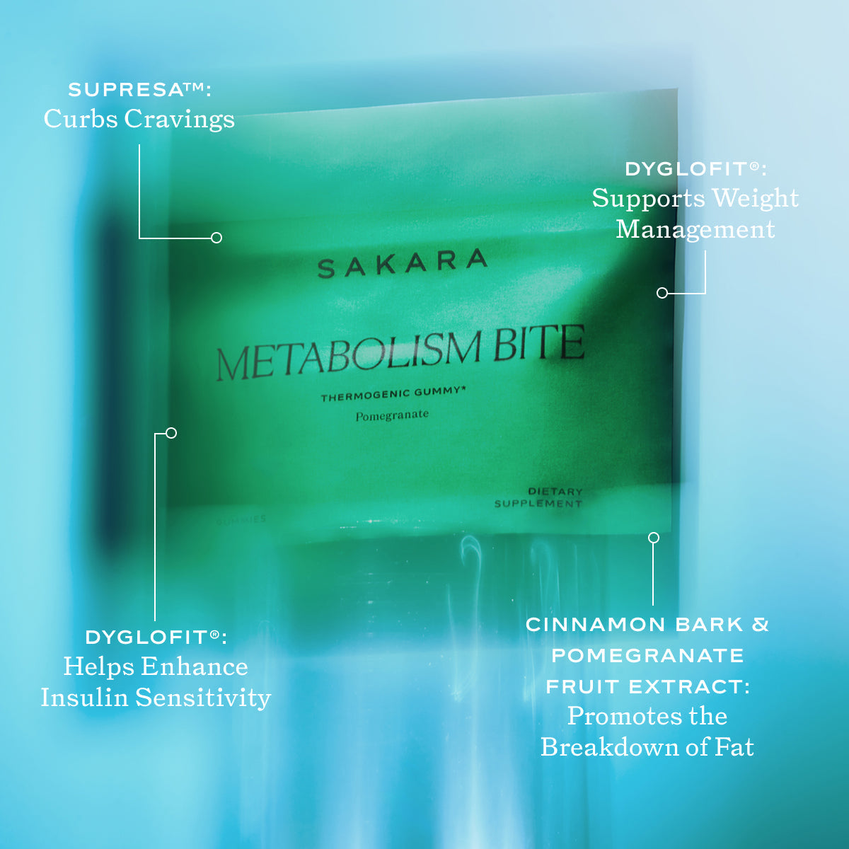 Metabolism Bite - Metabolism Bite